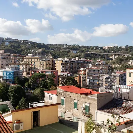 Milionaria By Dimorra Napels